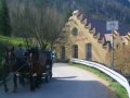 CIMG0411 Weg zu Schloss Neuschwanstein - Frei f�r Fussg�nger, Kutschen und Radfahrer