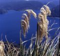 File0007 Lake Waikaremoana