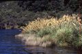 File0010 Lake Waikaremoana