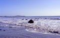image201 Moeraki Boulders - Riesenmurmeln an der Ostk�ste.