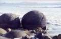 image205 Moeraki Boulders - Riesenmurmeln an der Ostk�ste.