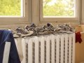 CIMG0867d Nach dem OL mussten die Laufschuhe getrocknet werden